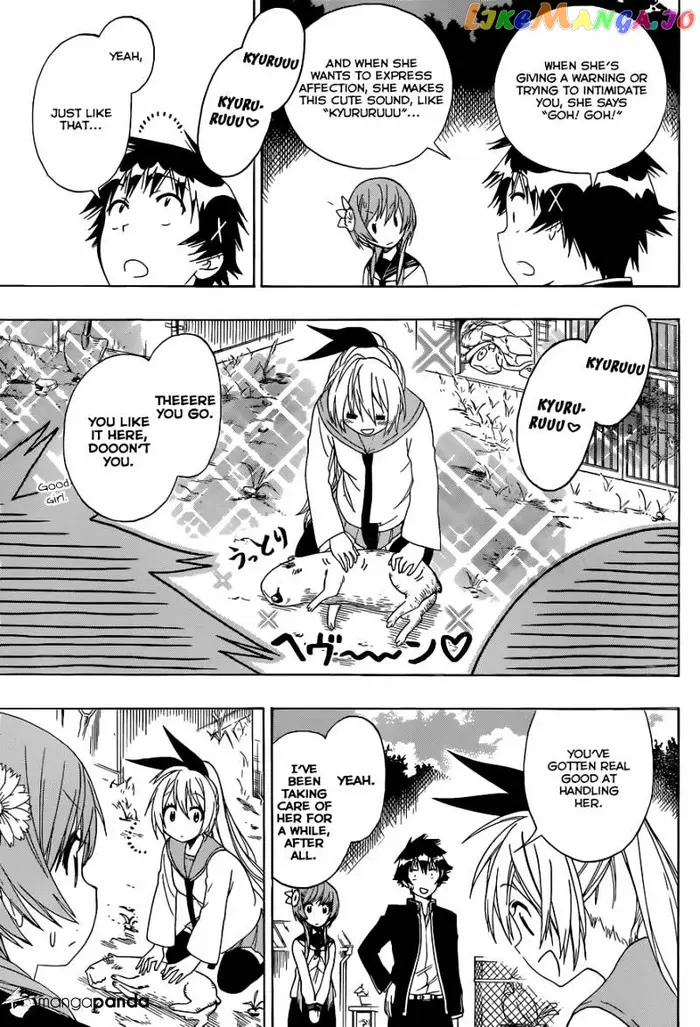 Nisekoi Chapter 142 image 08_optimized
